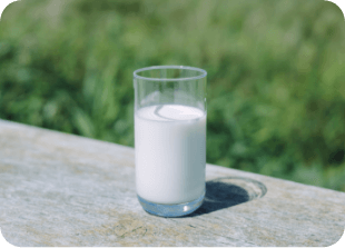 浜中町酪農写真