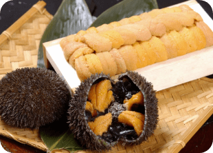 浜中町酪農写真