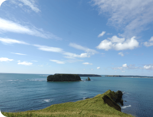 川村さんインタビュー写真