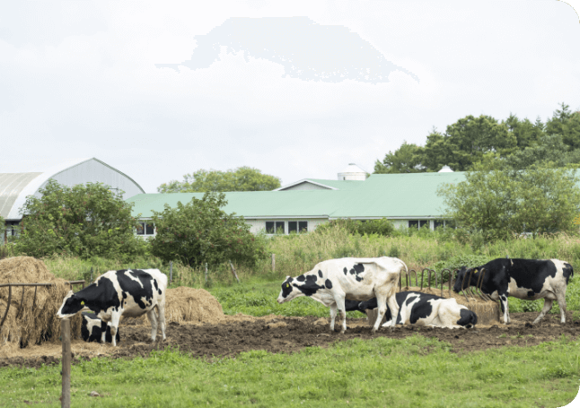 沼田さんインタビュー写真