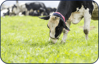 沼田さんインタビュー写真