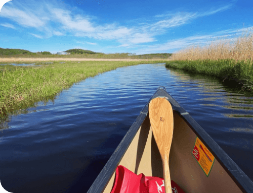 島﨑さんインタビュー写真
