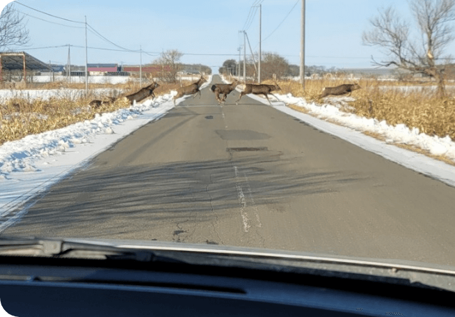 安田さんインタビュー写真