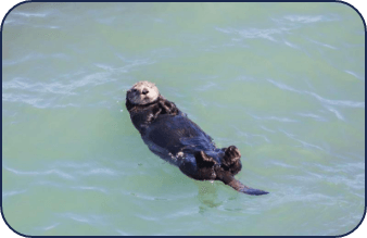 安田さんインタビュー写真