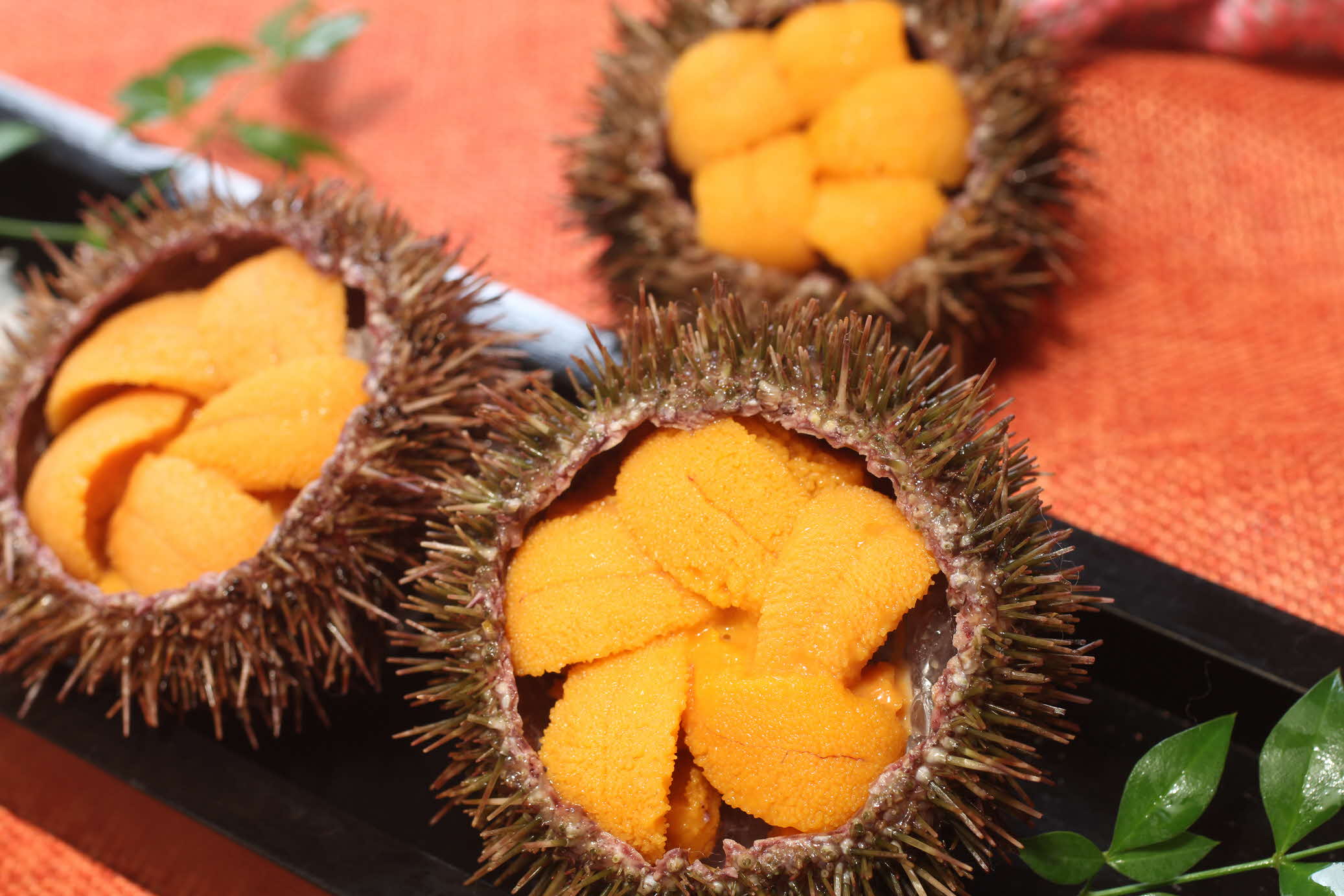 スライダー画像